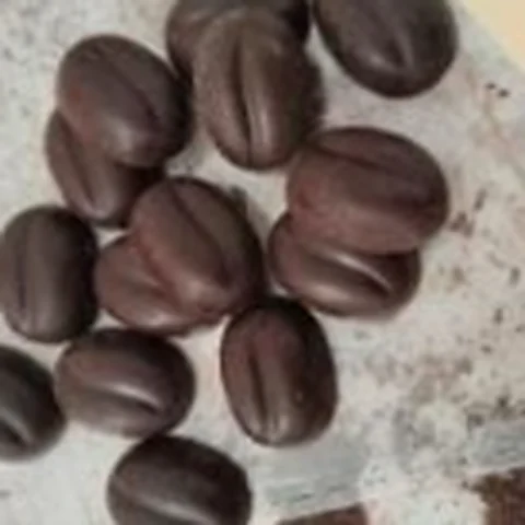 Coffee Bean Shaped Cacao